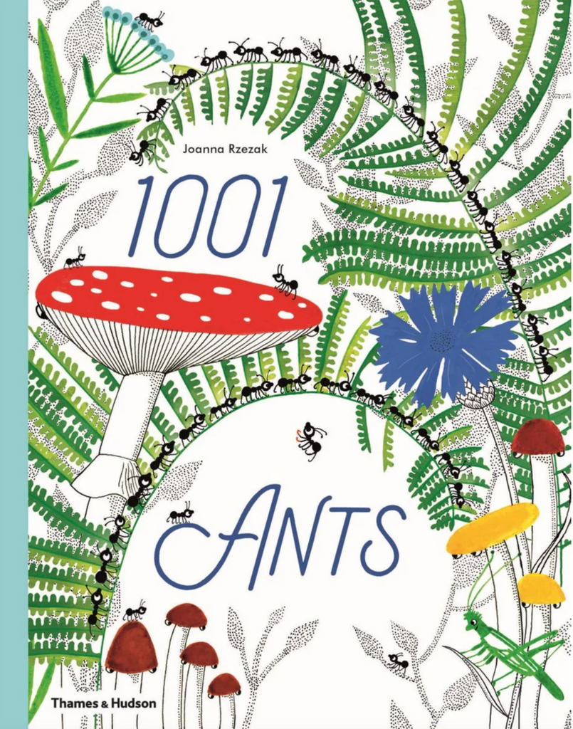 1001 Ants, Joanna Rzezak