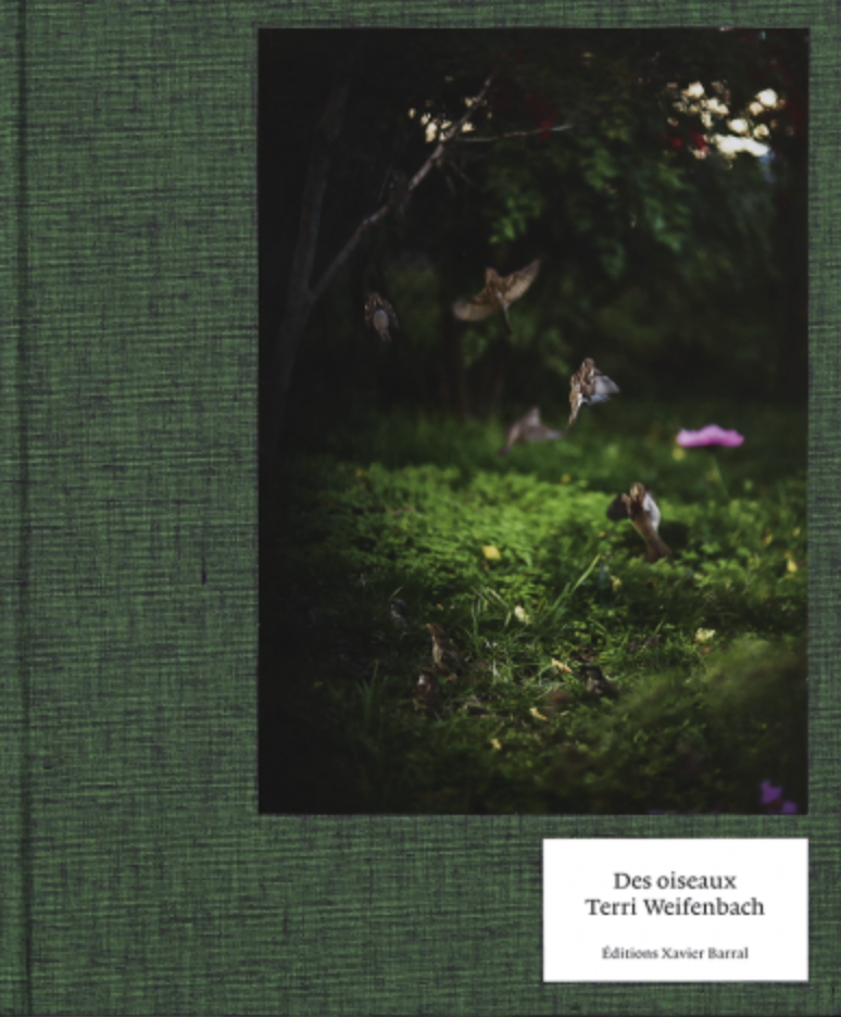 Des Oiseaux, Terri Weifenbach – The Library Project