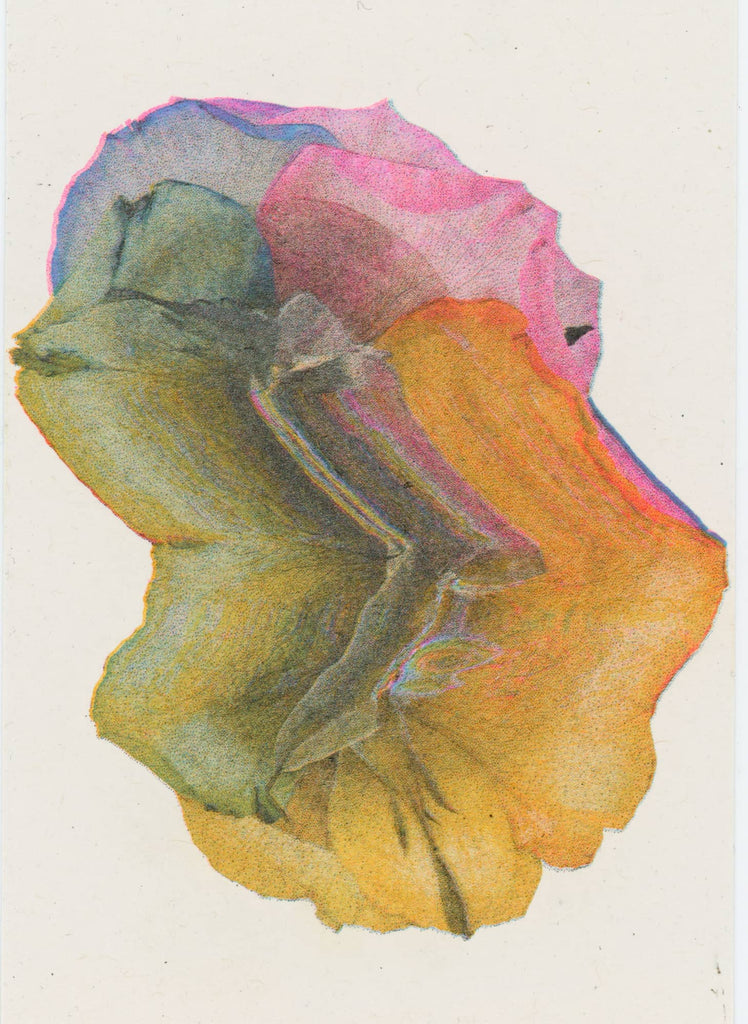 Ellen Blair, Rainbow Rose