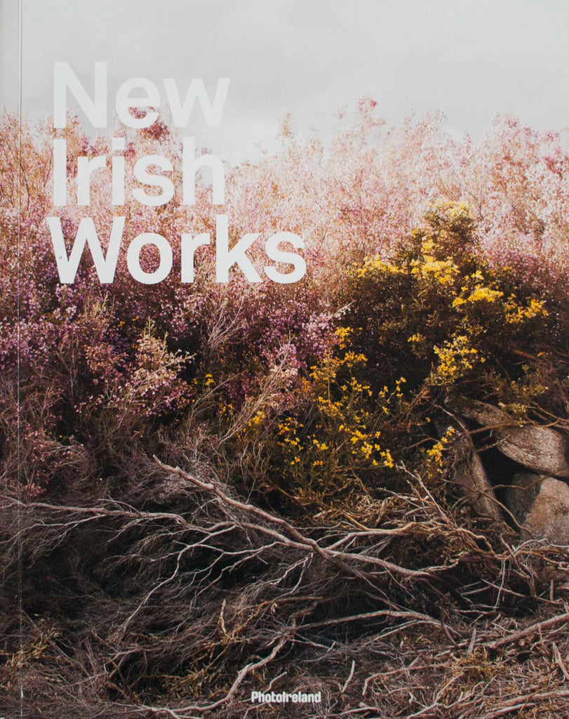 New Irish Works, Various Artists, Ángel Luis González Fernández (Ed.)