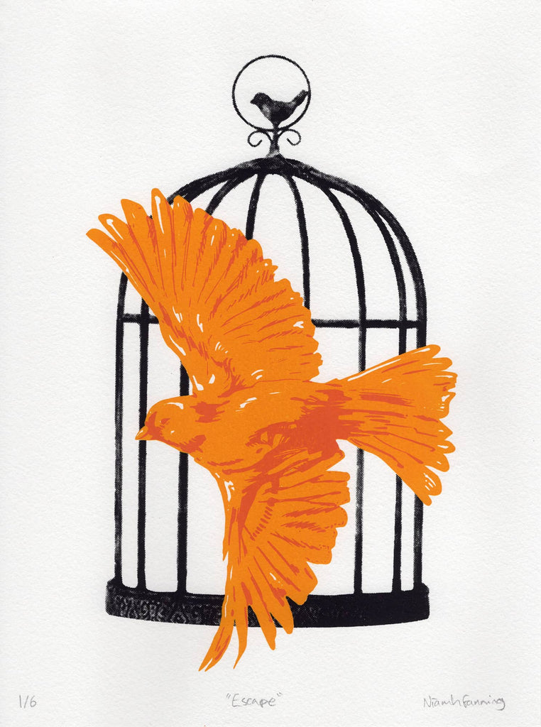 Niamh Fanning, Éalú