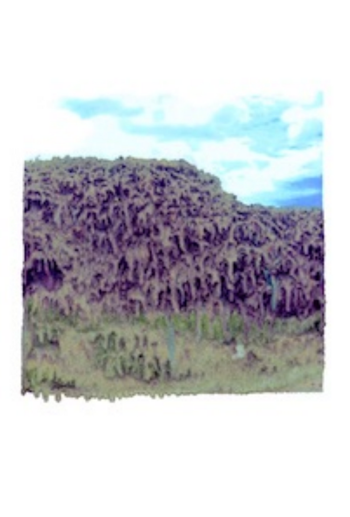 Sayo Senoo, Länder, die Tränen vergießen #10