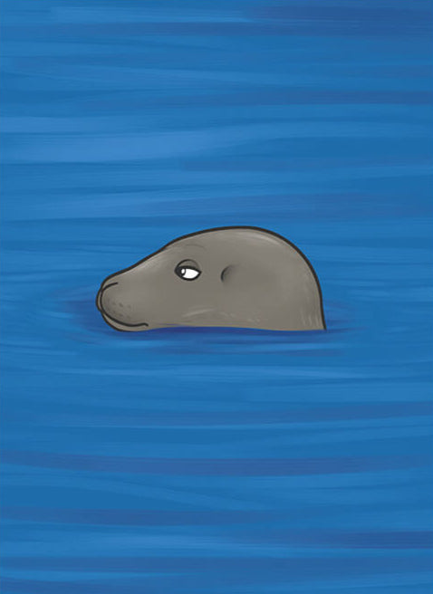 Grey Seal Greeting Card, Joe Hollingsworth & OystercatcherTF