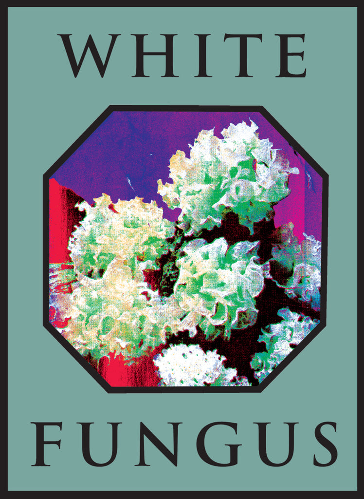 White Fungus #16, Ron Hanson