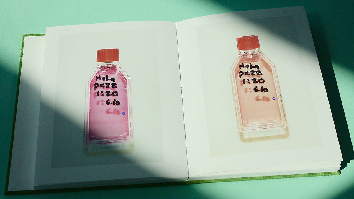 White Rabbit Fever, Maija Tammi – The Library Project