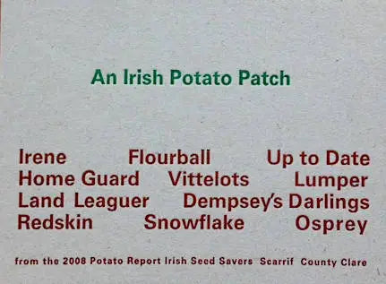 An Irish Potato Patch, Coracle