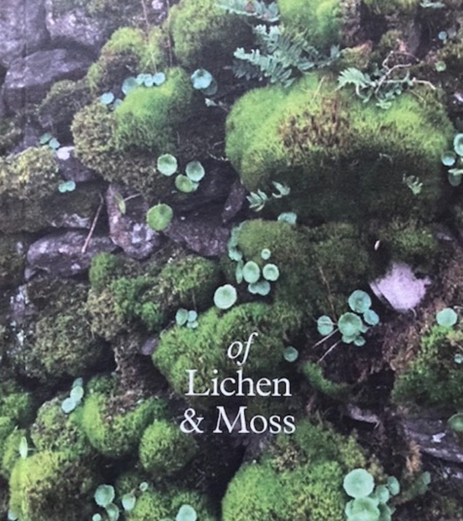 de Lichen & Moss, Erica Van Horn & Kate Van Houten