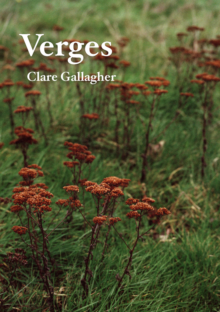 Verges, Clare Gallagher - The Library Project