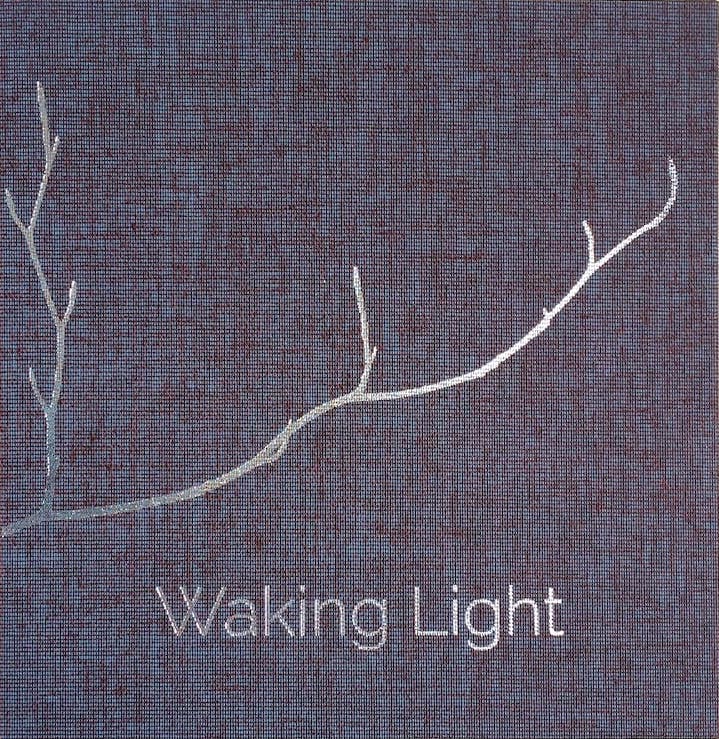 Waking Light, Kerri ní Dochartaigh and Mícheál McCann