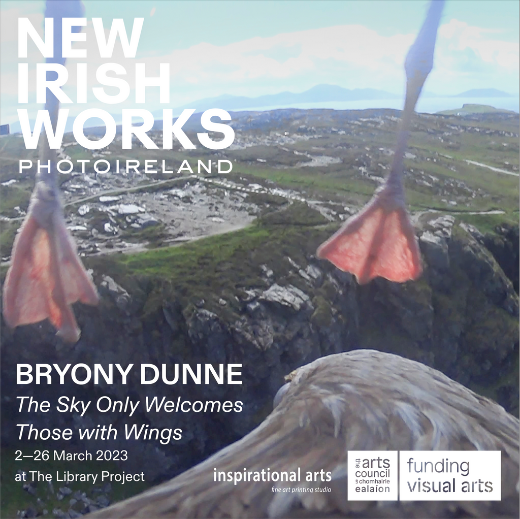 New Irish Works: Bryony Dunne at The Library Project