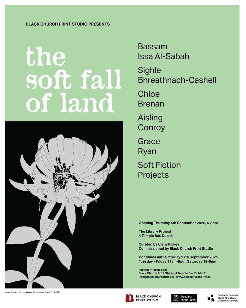 the soft fall of land at The Library Project