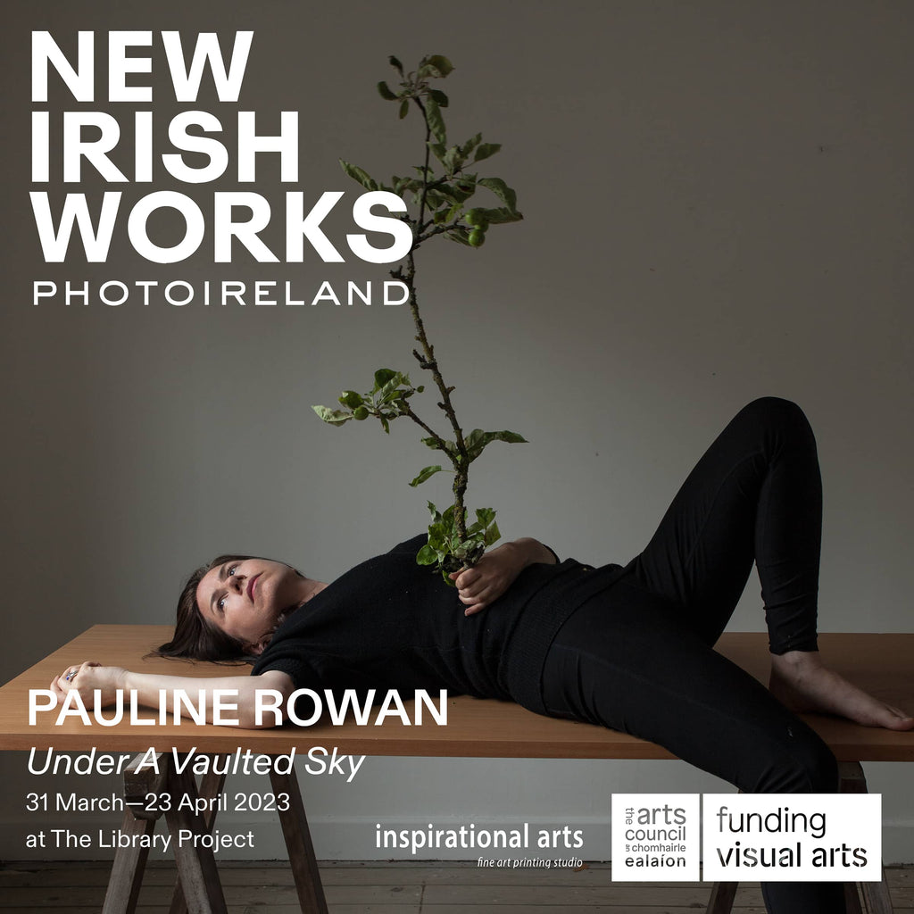New Irish Works: Pauline Rowan at The Library Project