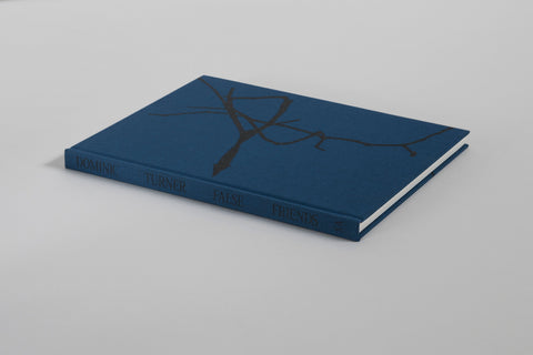 Photobook Launch: False Friends by Dominic Turner
