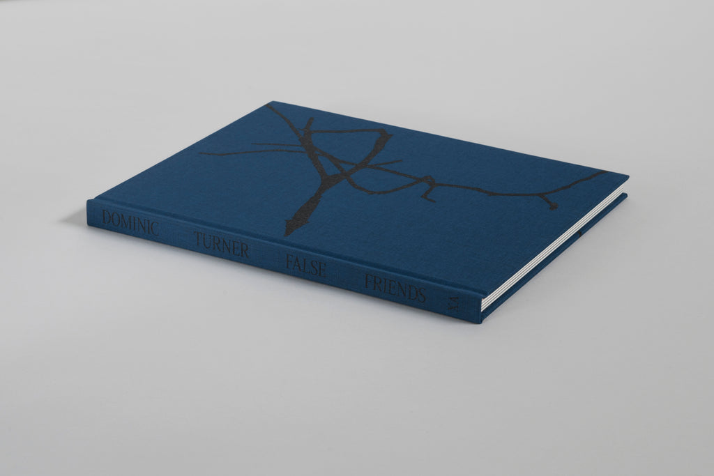 Photobook Launch: False Friends by Dominic Turner