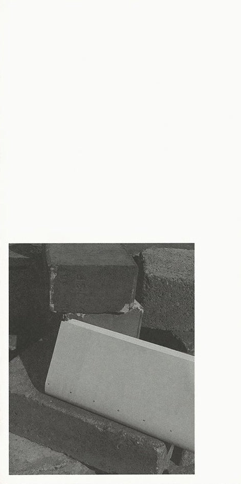 Moving Through Images, David Gallo