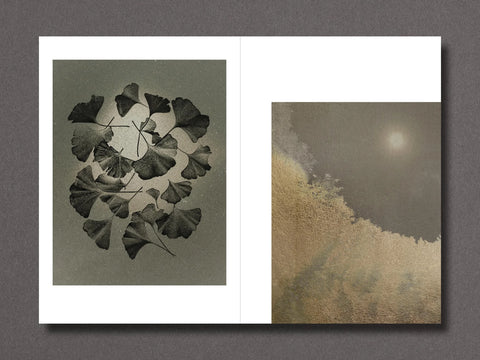 023, Sara Silks