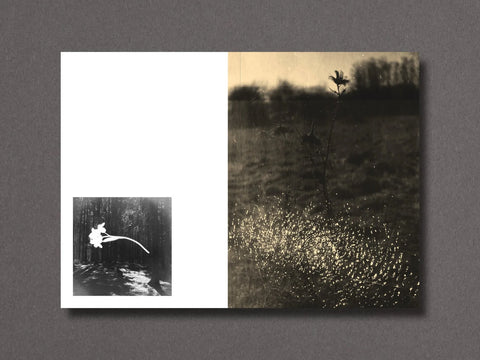 026, Nathalie Ericson