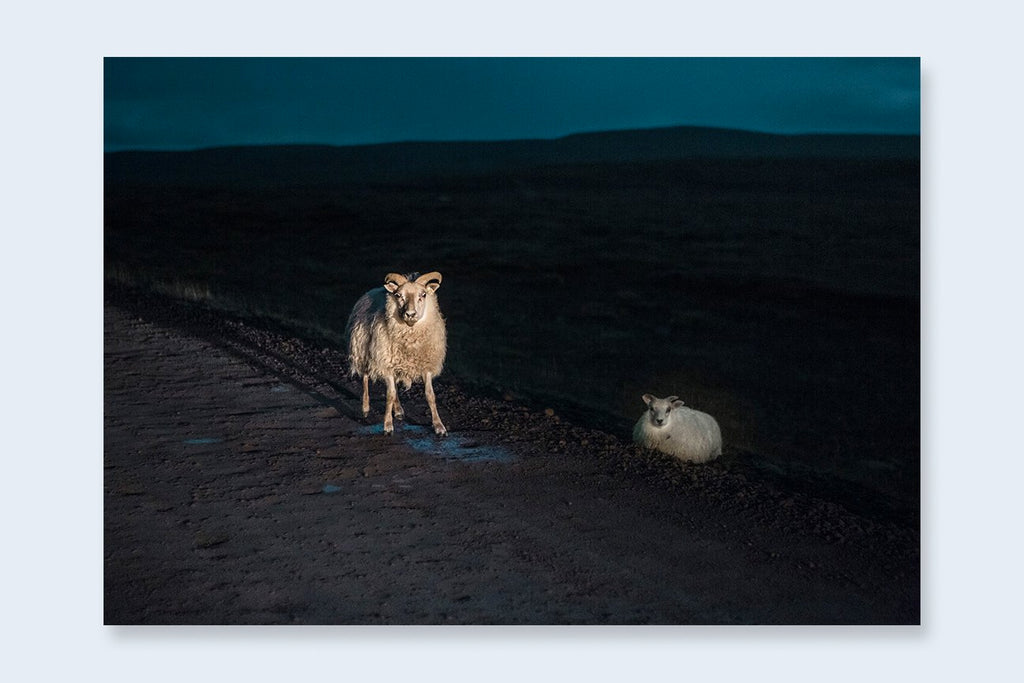 Taken By The Tide, Maria Lax – The Library Project