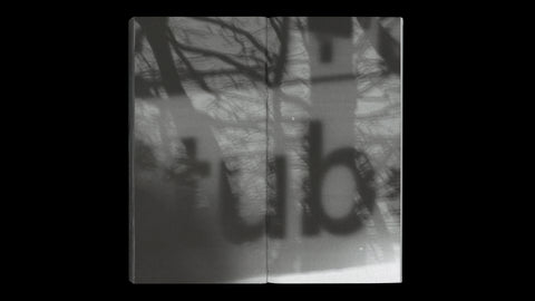 Moving Through Images, David Gallo
