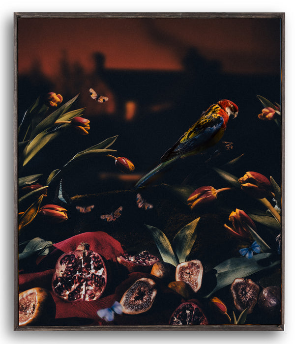 Diego Fabro, Reverie #40