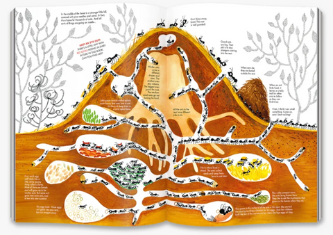 1001 Ants, Joanna Rzezak