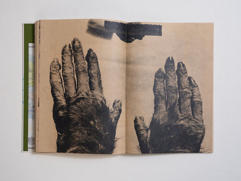 Wildman Fever!, Ruben Lundgren