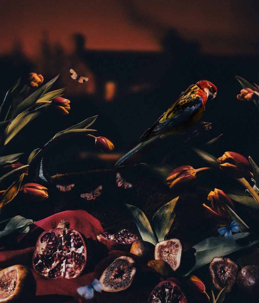 Diego Fabro, Reverie #40