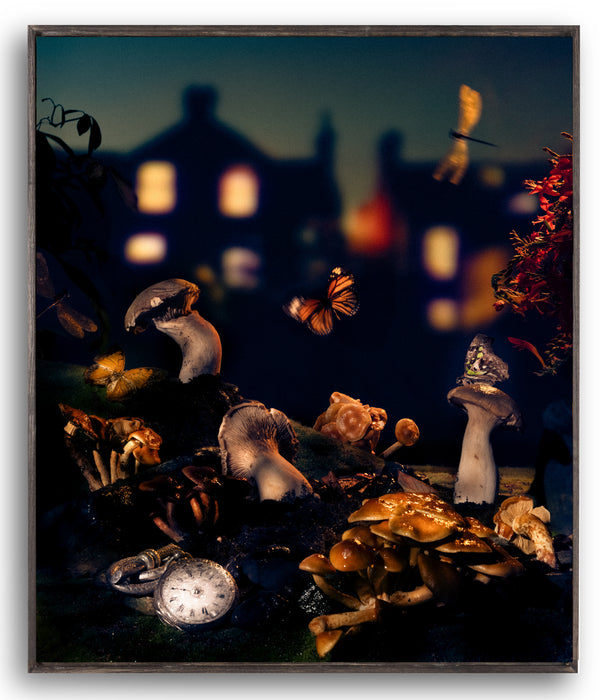 Diego Fabro, Reverie #38