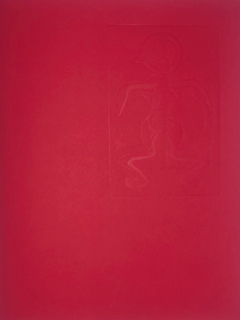 Research Files n.1: The Scar as Archive, M Lissoni