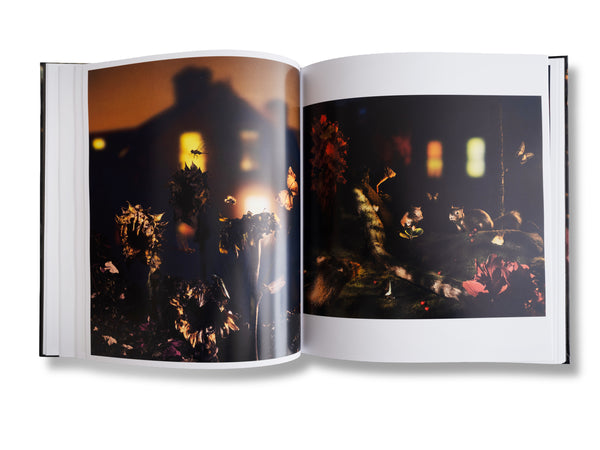 PRE-ORDER Reverie Park, Diego Fabro