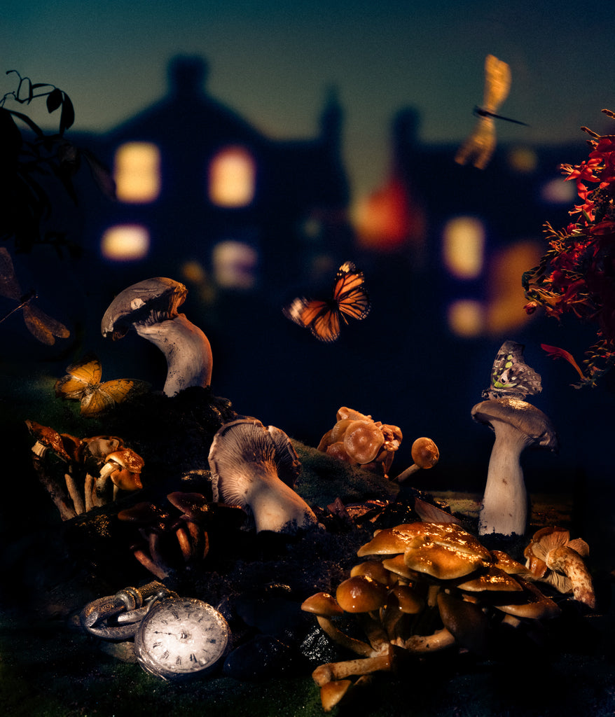 Diego Fabro, Reverie #38