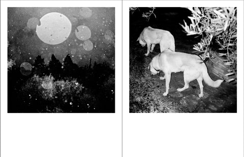 DD-MM-YYYY, Kostis Argyriadis