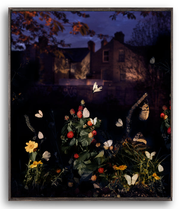 Diego Fabro, Reverie #10