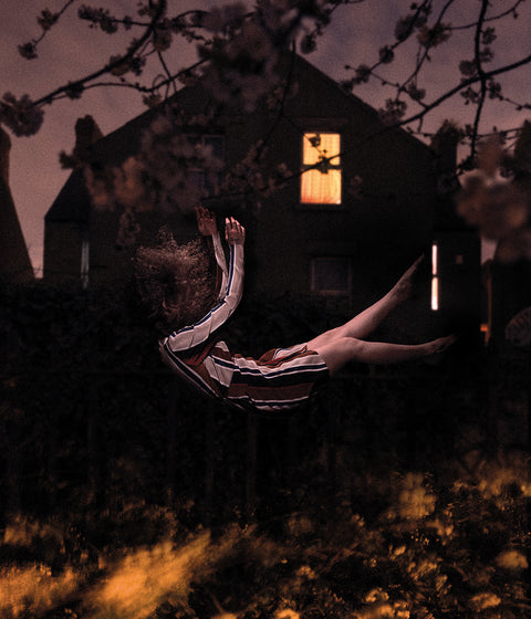Reverie Park, Diego Fabro
