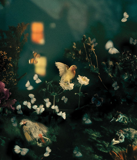 Diego Fabro, Reverie #35