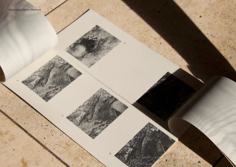 L'observació altera el observat, Hannah McKenna