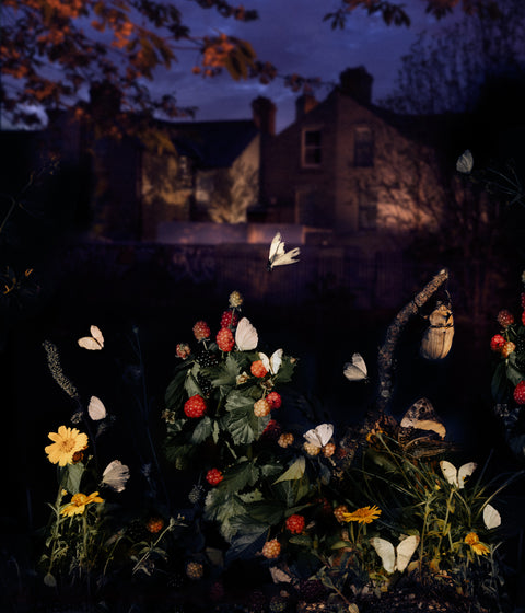 Diego Fabro, Reverie #10