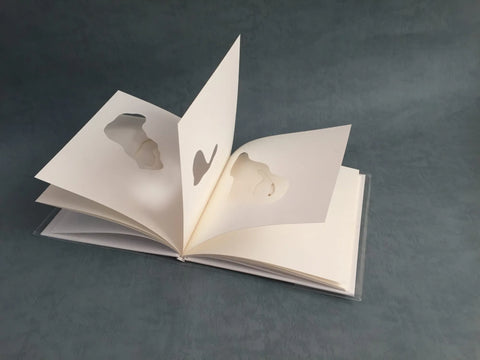 Overlapping Space, Yoli Yang