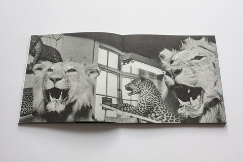 AMC2 Issue 10