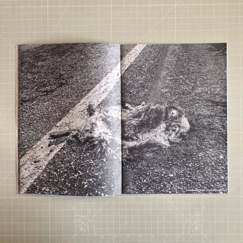 Fauna brasíliara, Rodrigo Capote