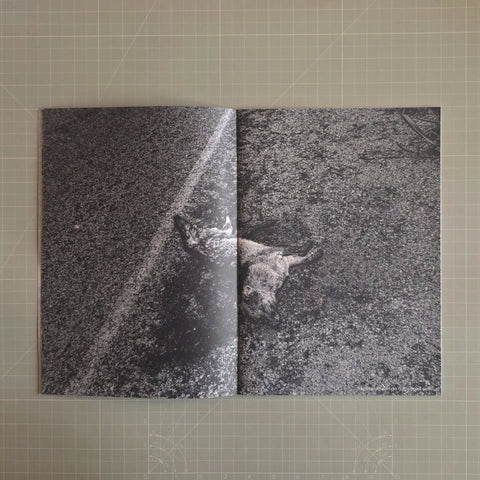 Fauna brasíliara, Rodrigo Capote