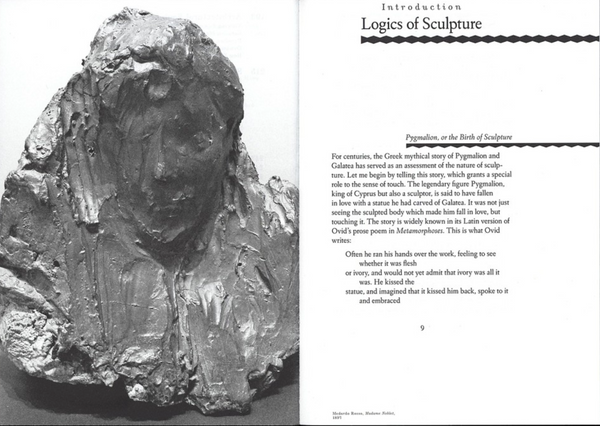 Sieben Logiken der Skulptur: Objekte durch die Sinne begegnen, Ernst van Alphen 