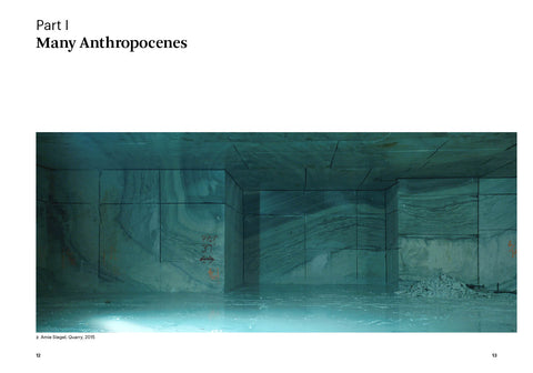 Art i canvi climàtic (El món de l’art), Maja i Reuben Fowkes