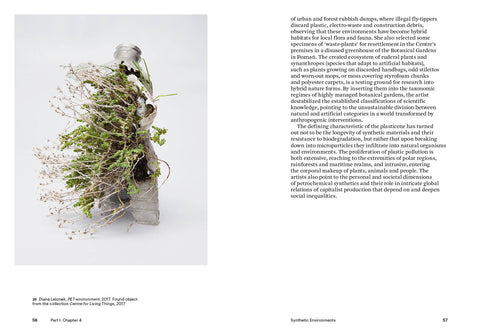 Art i canvi climàtic (El món de l’art), Maja i Reuben Fowkes