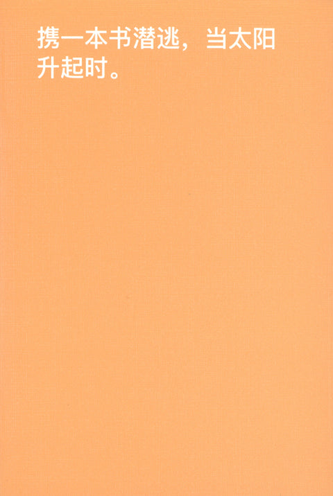 How to shoplift books, David Horvitz (Chinese)