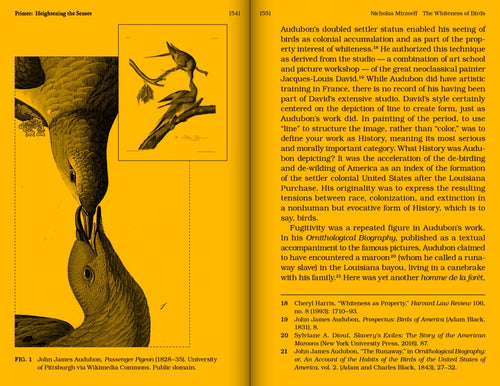 With A Bird: A Reader on Avian Kinship