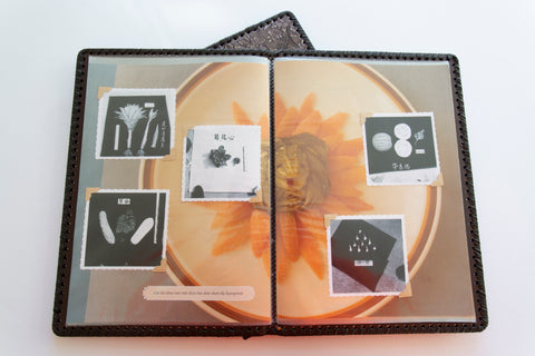 AMC2 Issue 14: Me Nu, Ruben Lundgren and Timothy Prus (Signed)