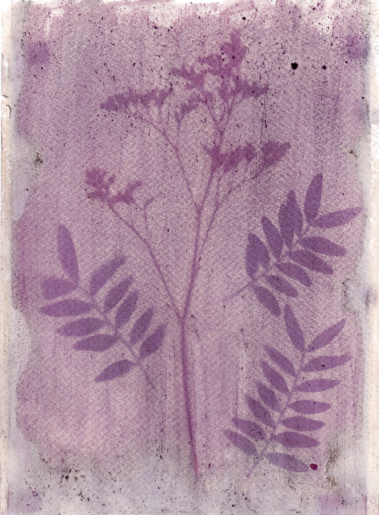 Vicky Salganik, A Composition