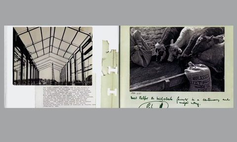 A Confection of Photographs, Nollaig Molloy