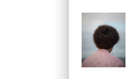 A Country Kind of Silence,  Ian Howorth